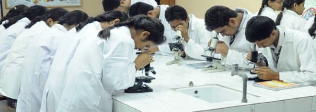 D.A.V. Public School Gallery