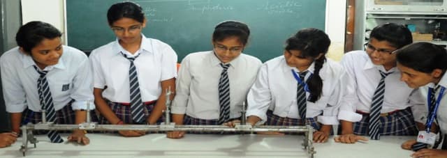 D.A.V. Public School Gallery