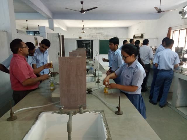 Shivoy School Gallery