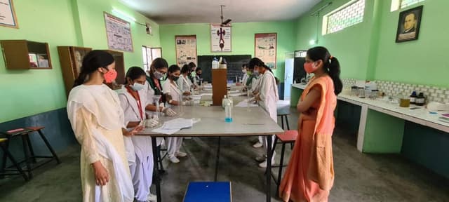 Diamond Rose Public School Gallery