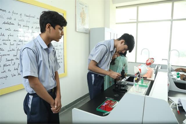 St. Xavier's High School Gallery