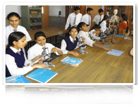 St. Joseph's Academy Gallery