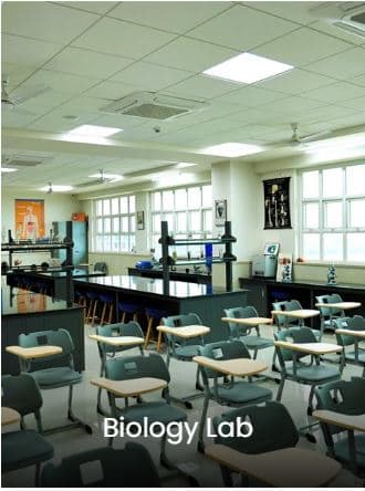 Delhi Public School Gallery