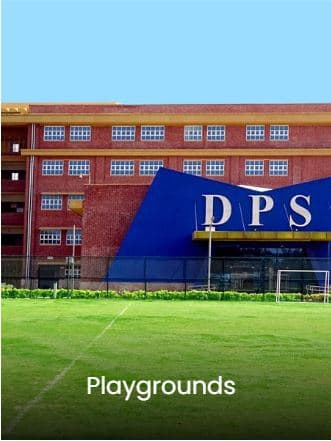 Delhi Public School Gallery