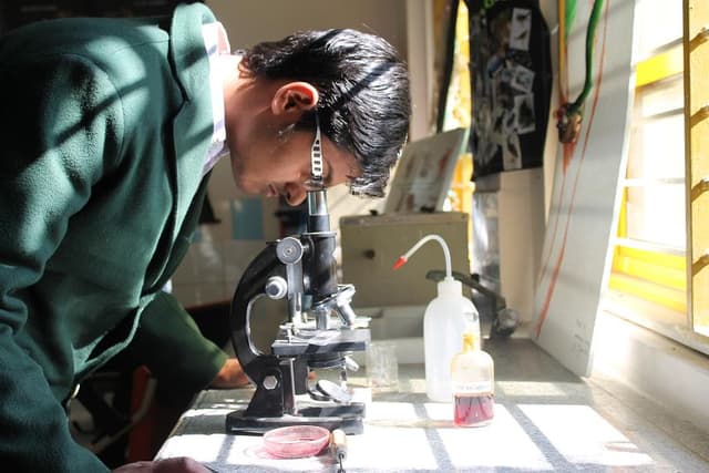 Delhi Public School Gallery