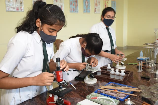 Delhi Public World School Gallery