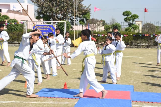 Delhi Public World School Gallery