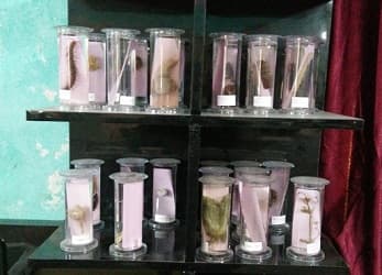 Radisson The School Gallery