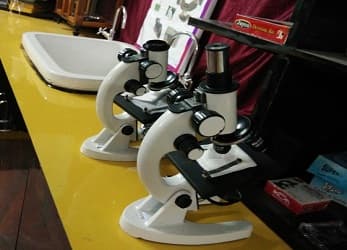 Radisson The School Gallery