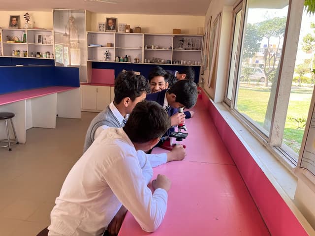 Modern Public School Gallery