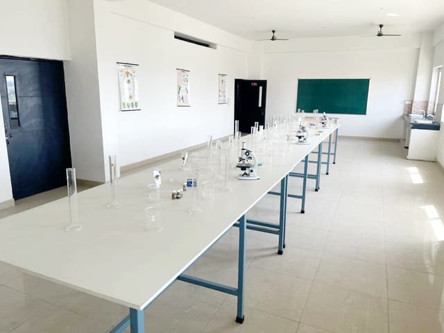 Florence International School Gallery