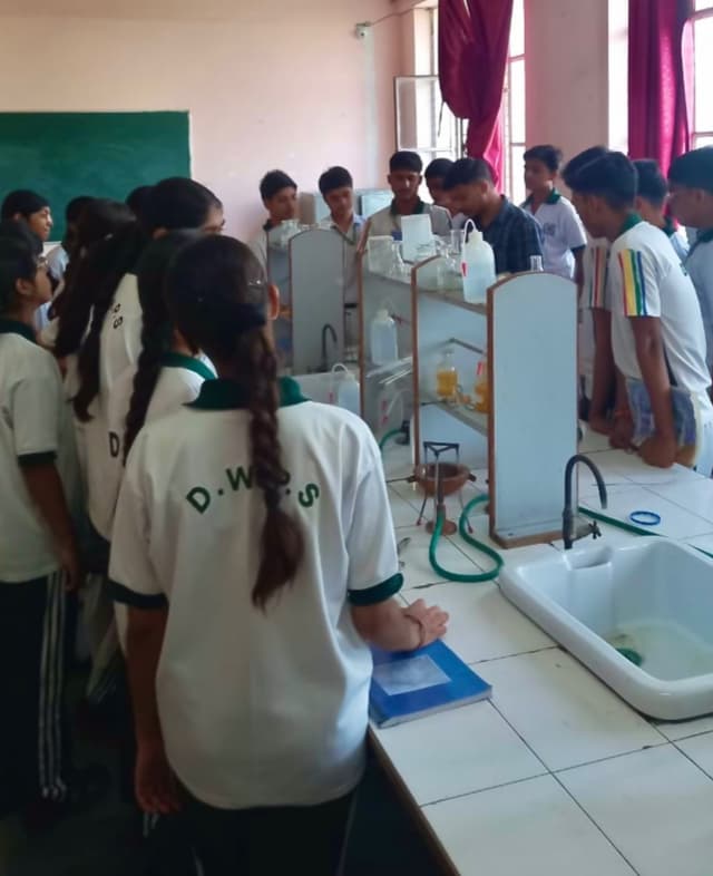 Delhi World Public School Gallery