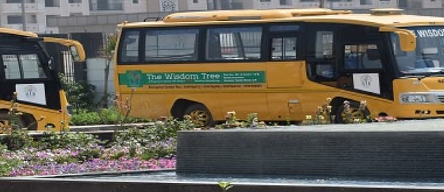 The Wisdom Tree School Gallery