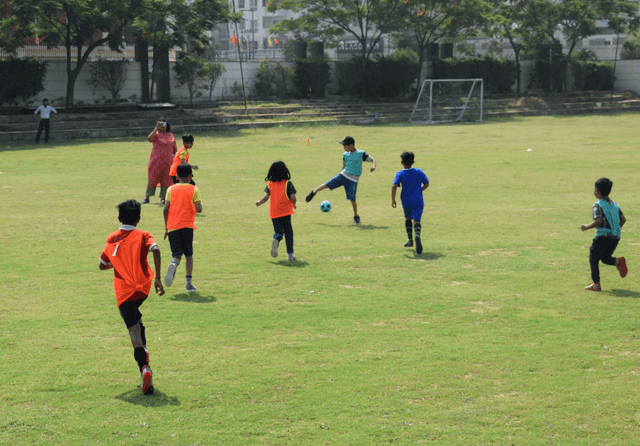 The Wisdom Tree School Gallery