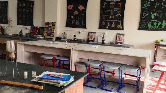 The Wisdom Tree School Gallery