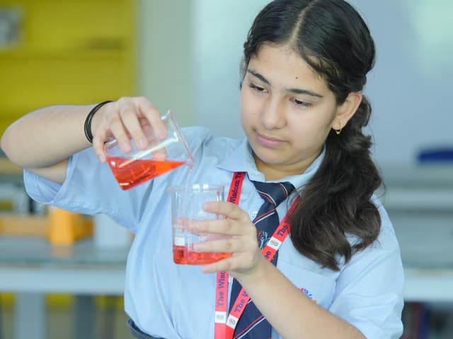 The Wisdom Tree School Gallery