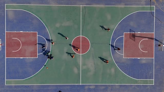 The Wisdom Tree School Gallery