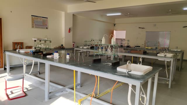 The Wisdom Tree School Gallery