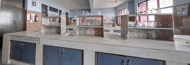 Ryan International School Gallery