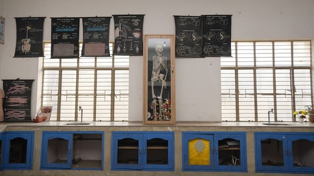 Blue Diamond Public School Gallery