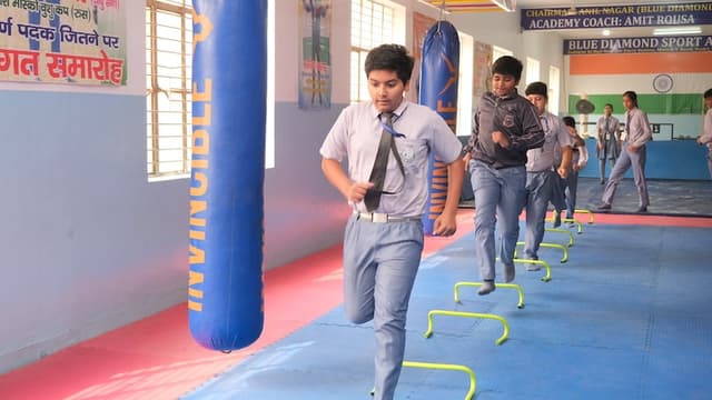 Blue Diamond Public School Gallery