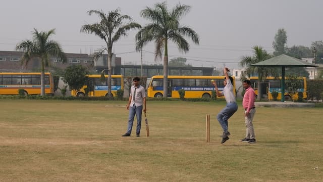 Blue Diamond Public School Gallery
