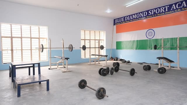 Blue Diamond Public School Gallery