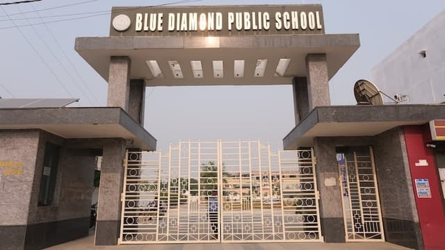 Blue Diamond Public School Gallery