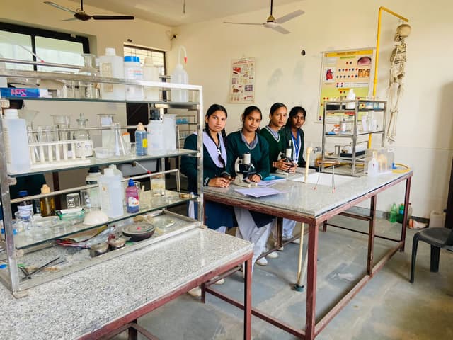 N.M. Public School Gallery