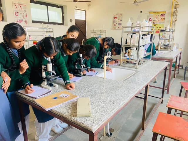 N.M. Public School Gallery