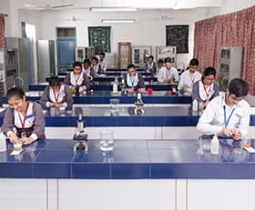 Somerville School Gallery