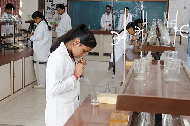 Somerville School Gallery