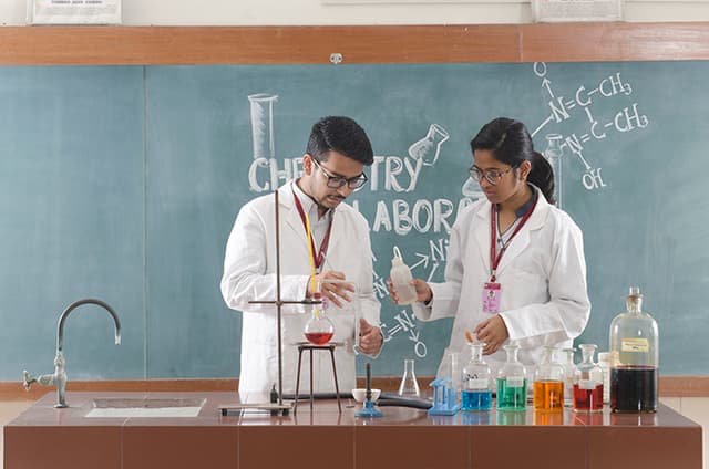 Somerville School Gallery