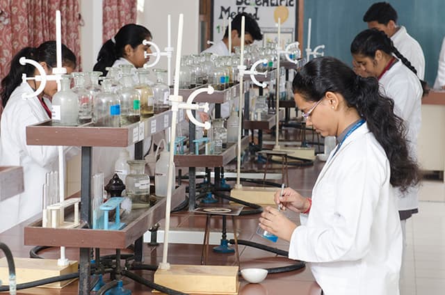 Somerville School Gallery