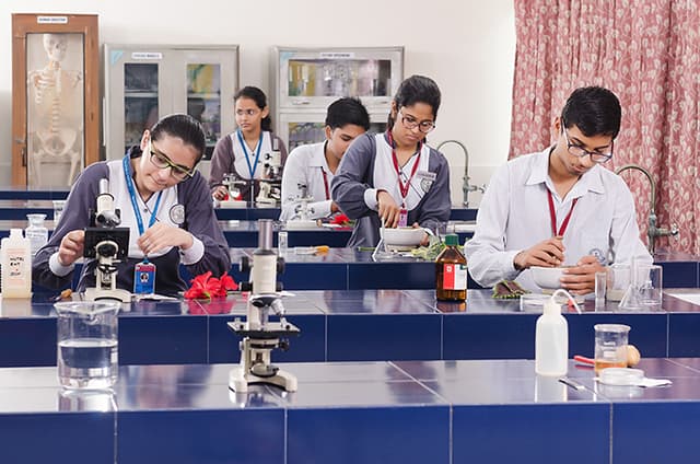 Somerville School Gallery