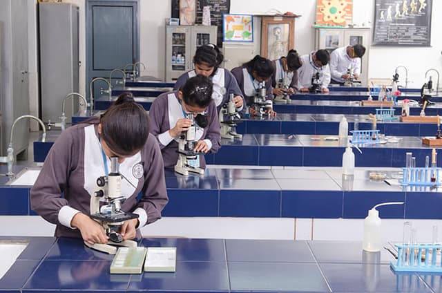 Somerville School Gallery