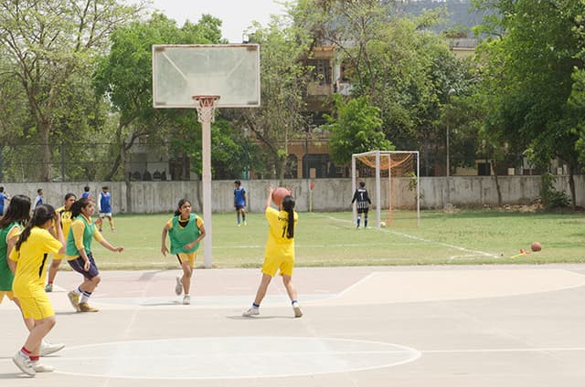 Somerville School Gallery