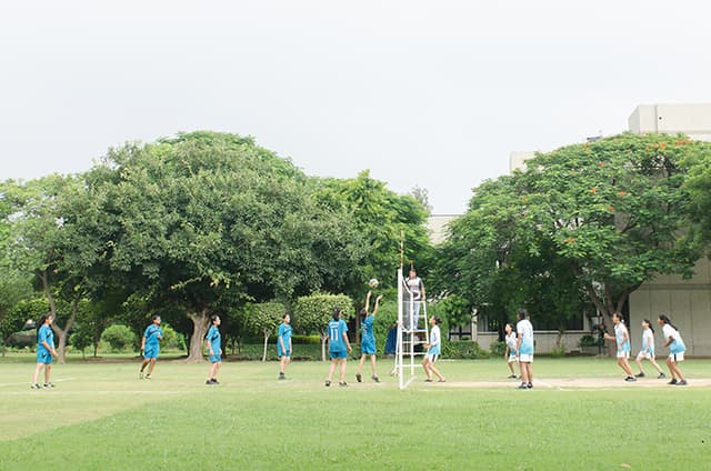 Somerville School Gallery