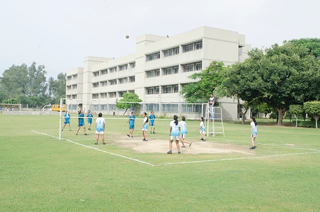 Somerville School Gallery