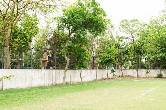 Somerville School Gallery