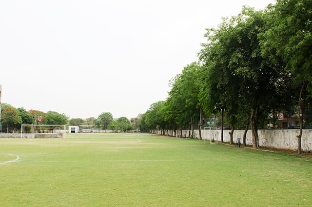 Somerville School Gallery