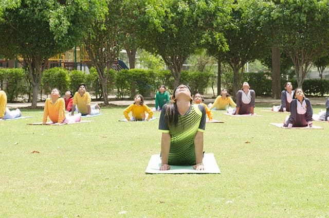 Somerville School Gallery