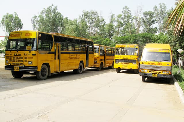 Somerville School Gallery