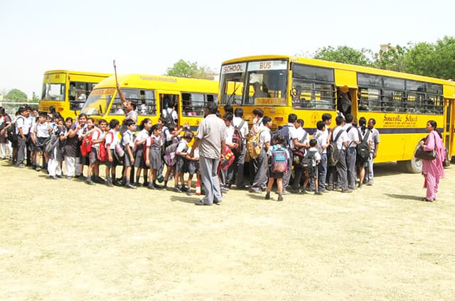 Somerville School Gallery