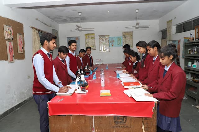 Diamond Drill Senior Secondary Public School Gallery