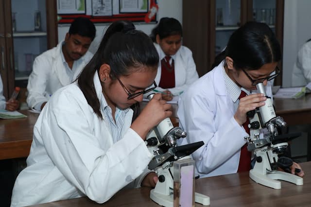 Ascent International School Gallery