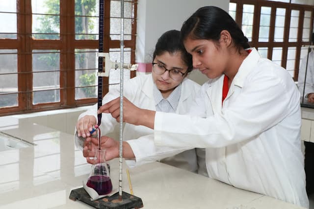 Ascent International School Gallery