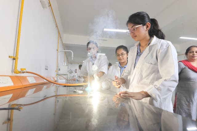 BLS World School Gallery