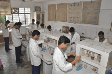 Marigold Public School Gallery