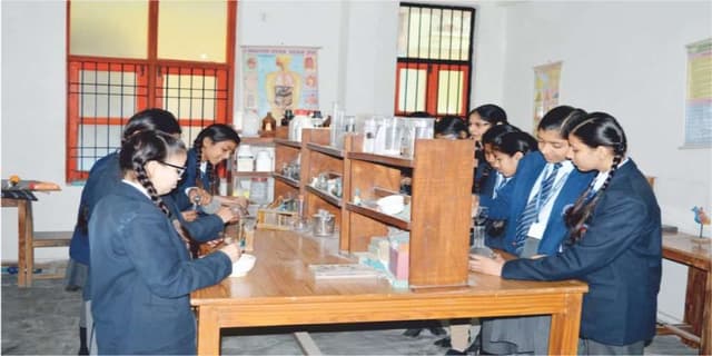 HL International School Gallery